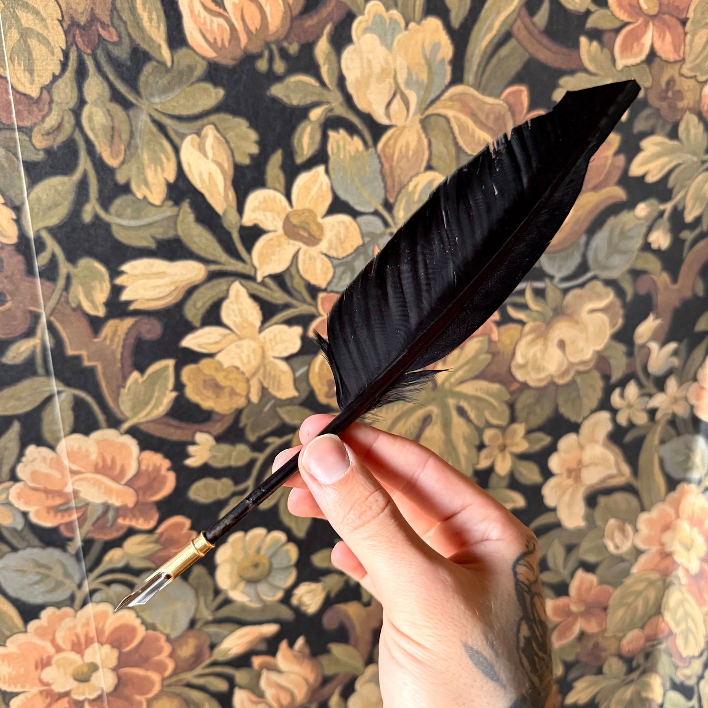 The Shadow Scribe – Black Goose Feather Quill with Brass Nib Holder