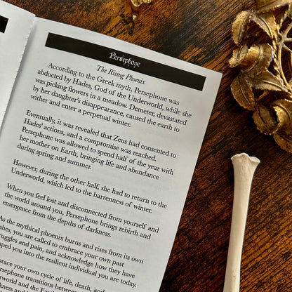 Obsidian Veil Oracle Deck (Collector's Edition)