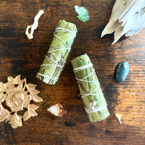 Eucalyptus Smudge Stick